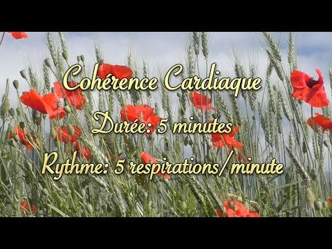 Cohérence Cardiaque Guidée au Son d'un Carillon